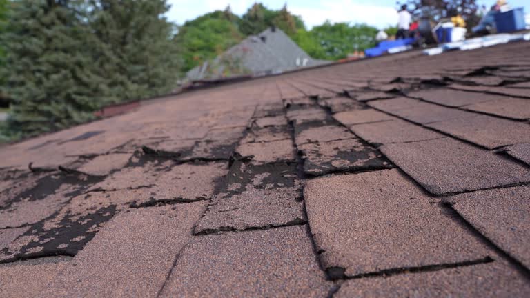 Best Roof Waterproofing  in Sughter, LA